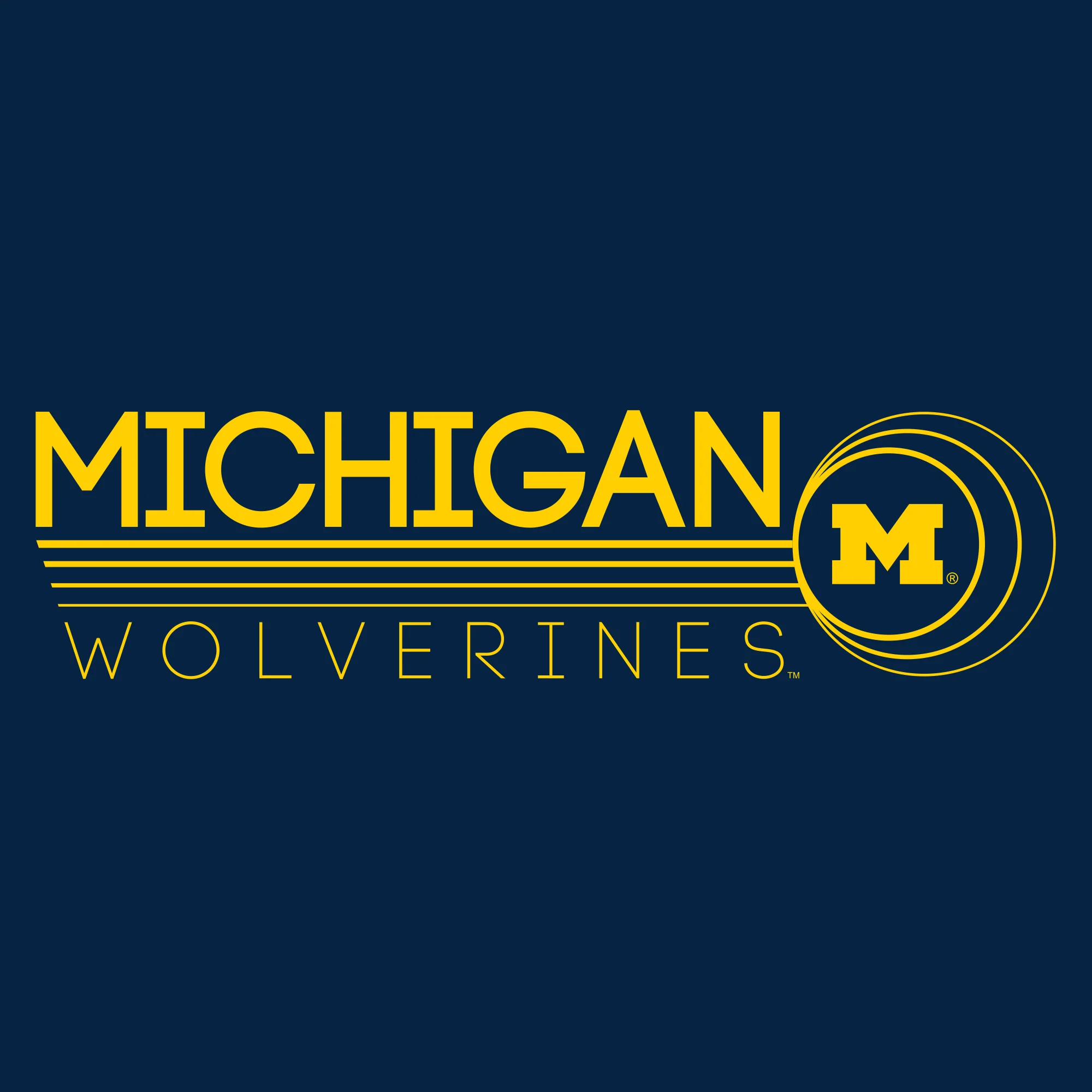 University of Michigan Wolverines Logo Ping Heavy Blend Hoodie - Navy - Image 2