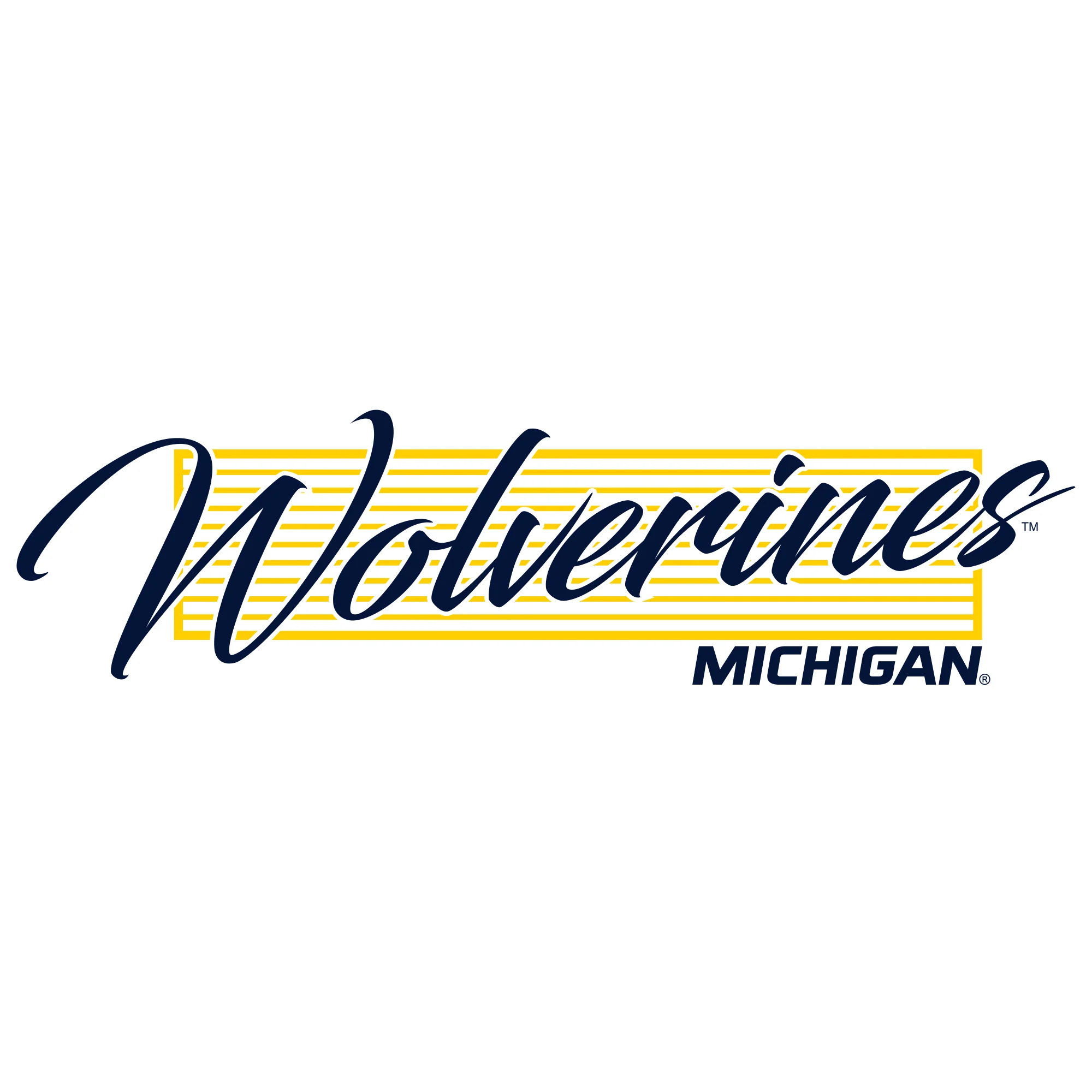 University of Michigan Wolverines Screen Play Heavy Blend Hoodie - White - Image 2