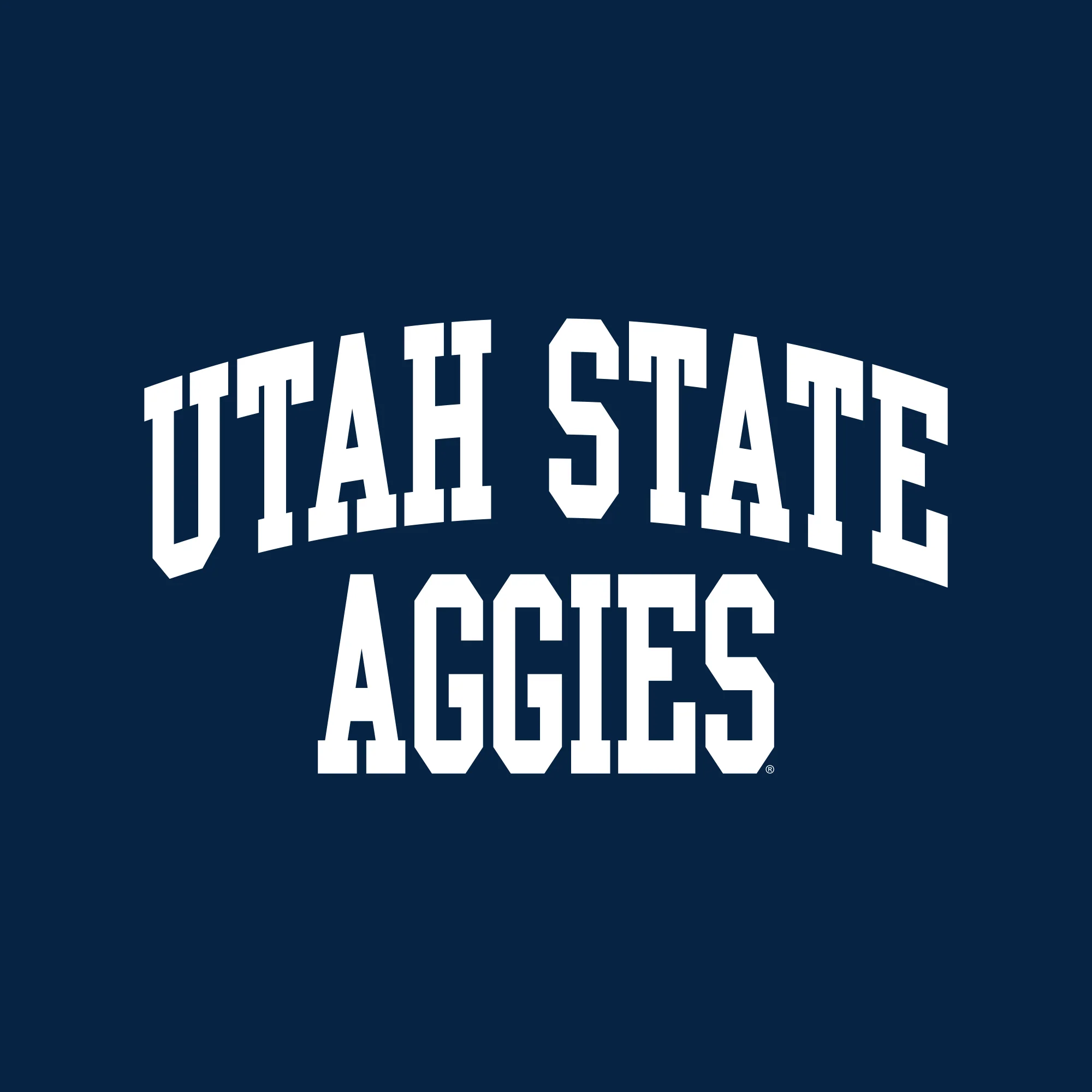 Utah State Aggies Front Back Print T-Shirt - Navy - Image 2