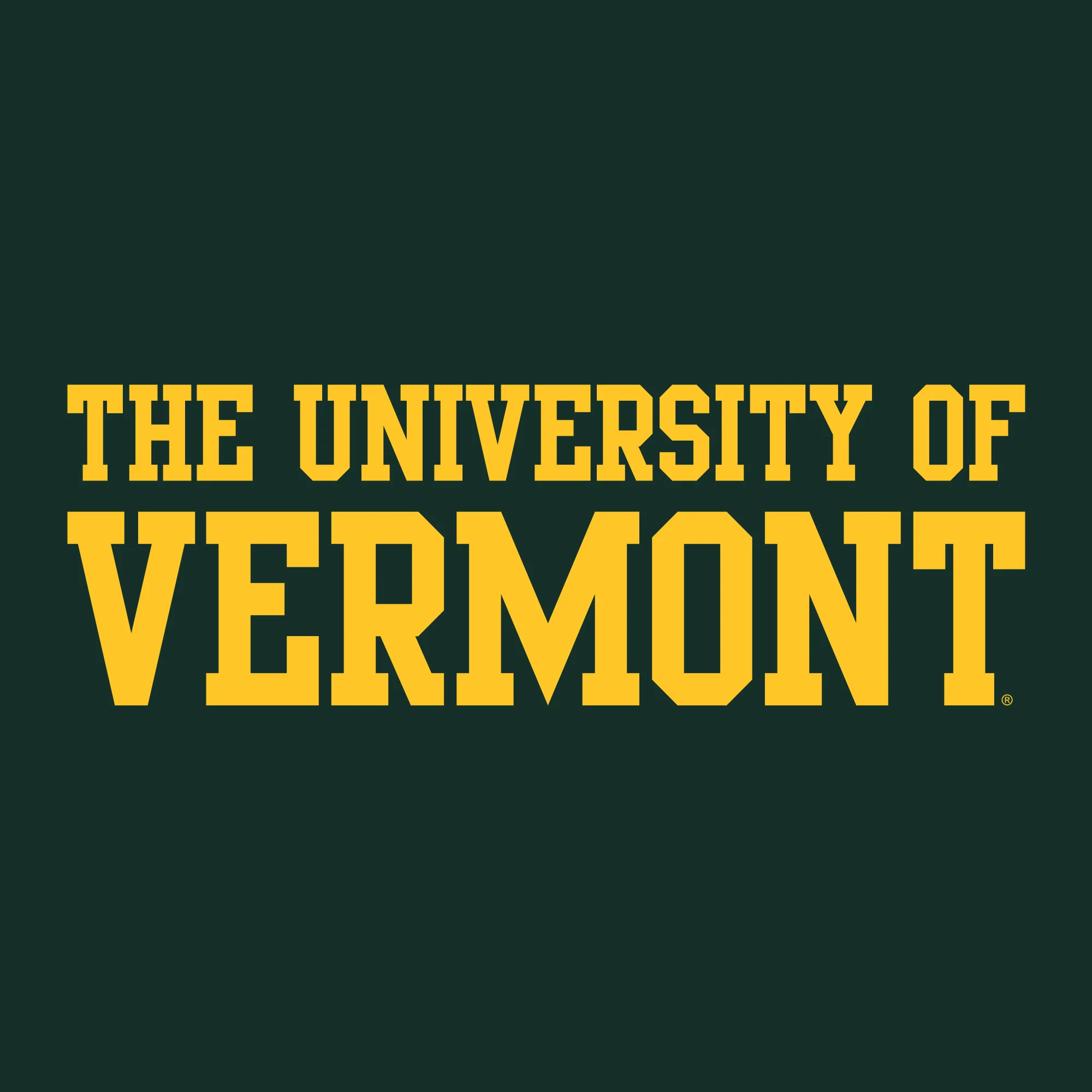 Vermont Basic Block Youth T-Shirt - Forest - Image 2