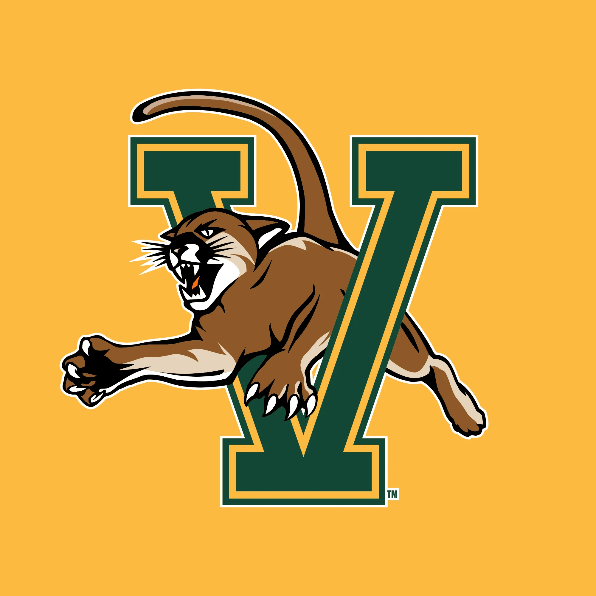 Vermont Primary Logo Long Sleeve - Gold - Image 2