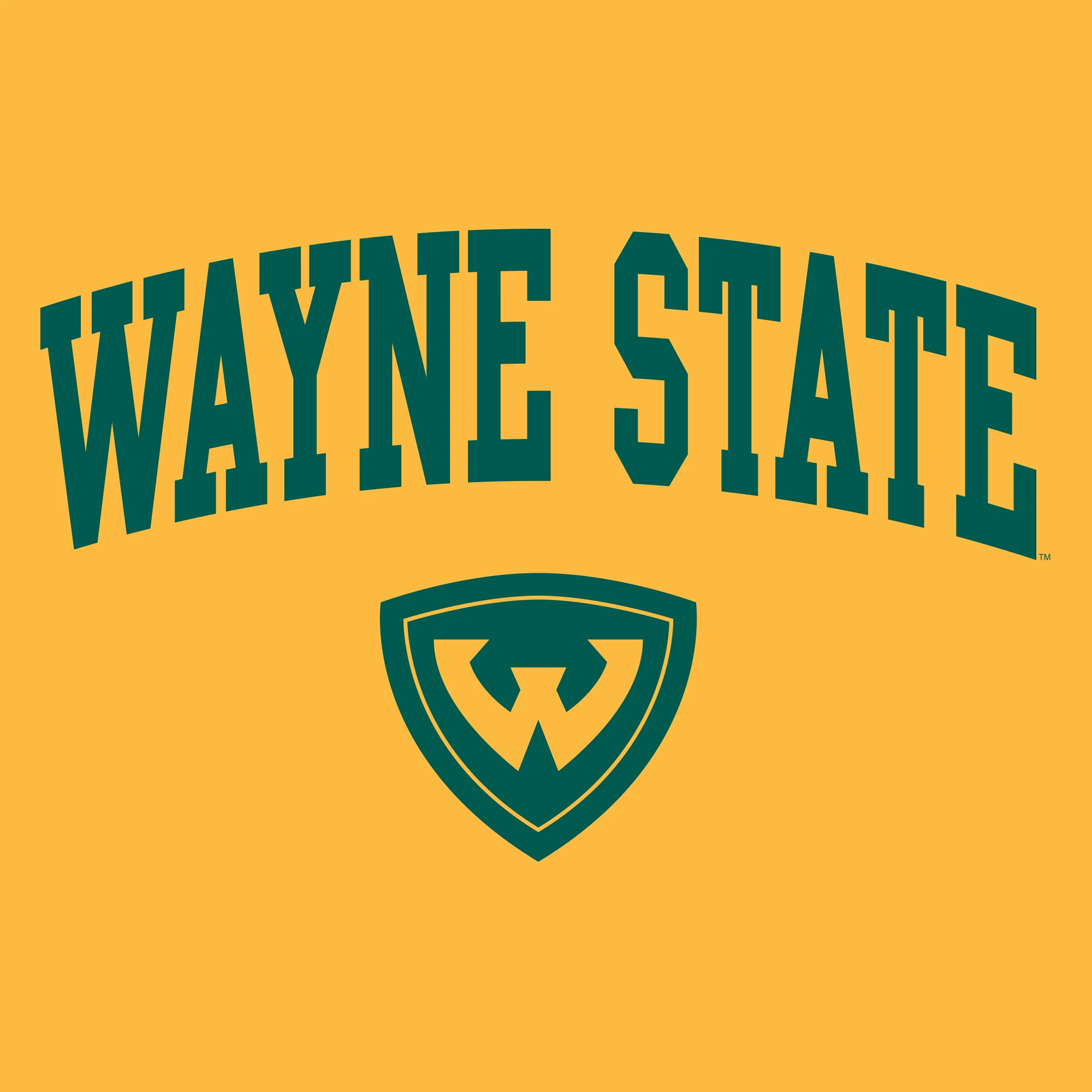 Wayne State University Warriors Arch Logo Long Sleeve T-Shirt - Gold - Image 2