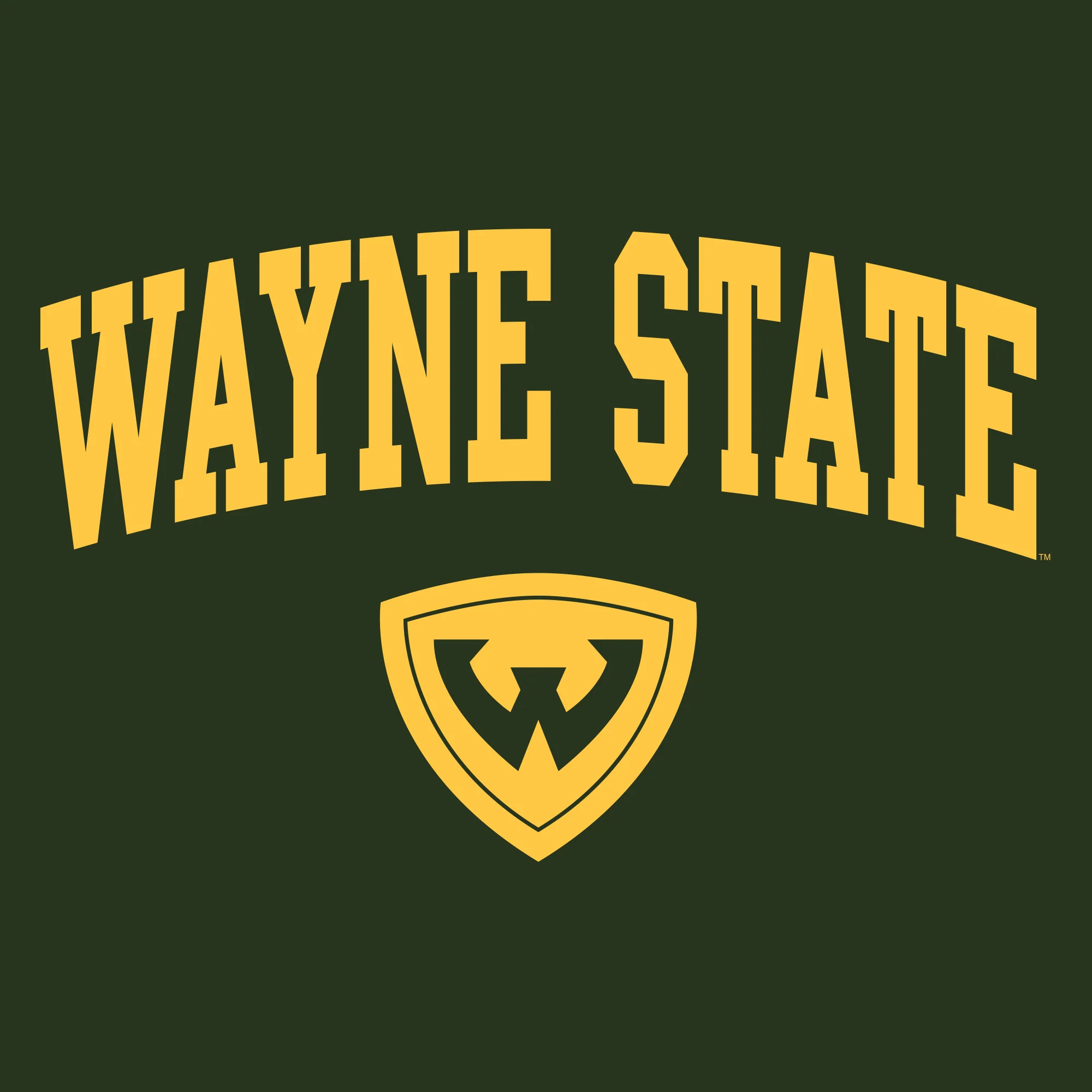 Wayne State University Warriors Arch Logo Youth Short Sleeve T-Shirt - Forest Green - Image 2
