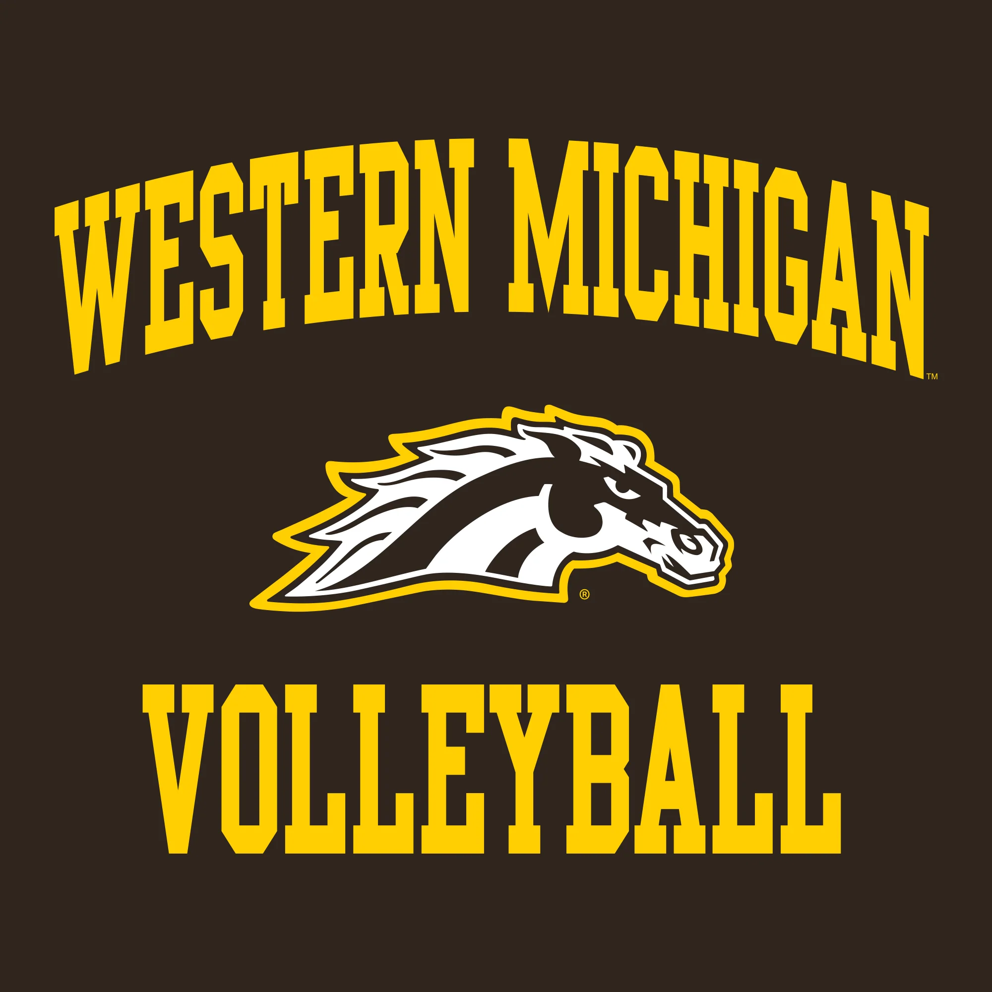 Western Michigan Arch Logo Volleyball Hoodie - Dark Chocolate - Image 2