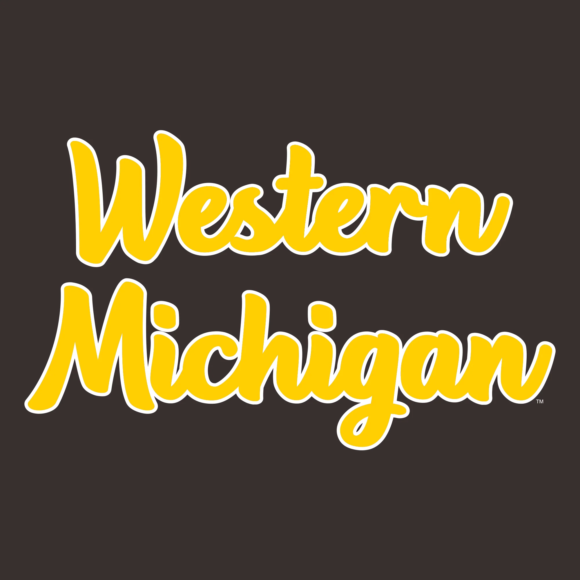 Western Michigan Broncos Basic Script Heavy Blend Hoodie - Dark Chocolate - Image 2