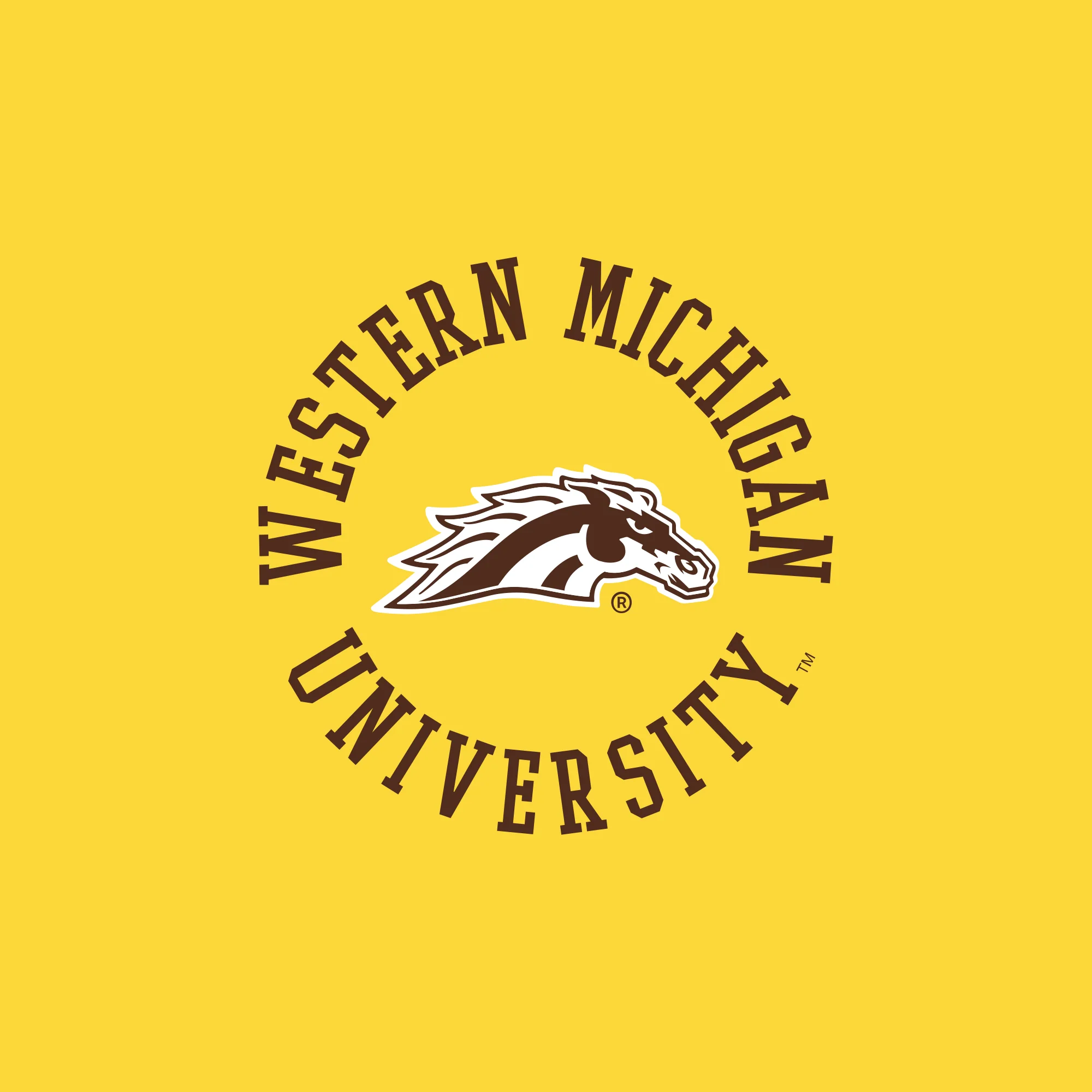 Western Michigan Old School Circle 1/4 Zip - Image 3