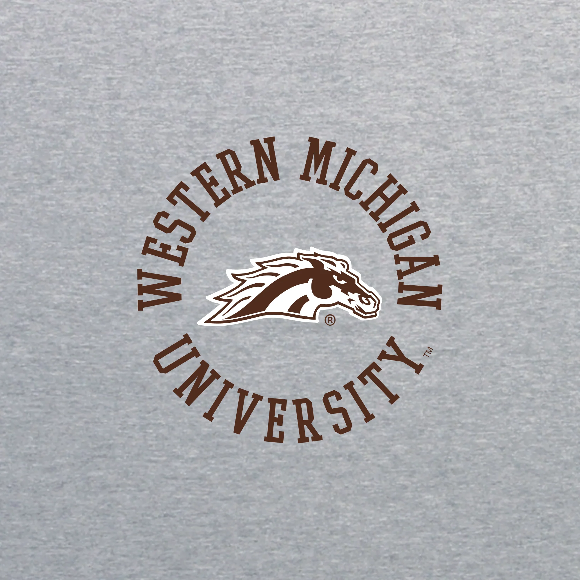 Western Michigan Old School Circle 1/4 Zip - Image 4