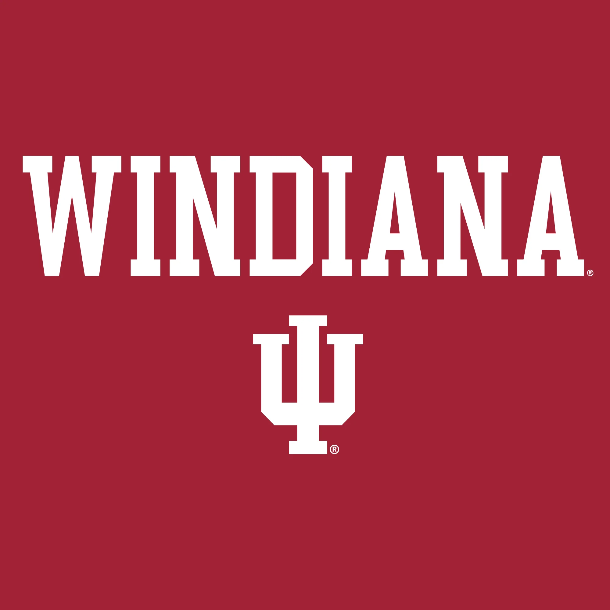 WINdiana Block Long Sleeve - Cardinal - Image 2