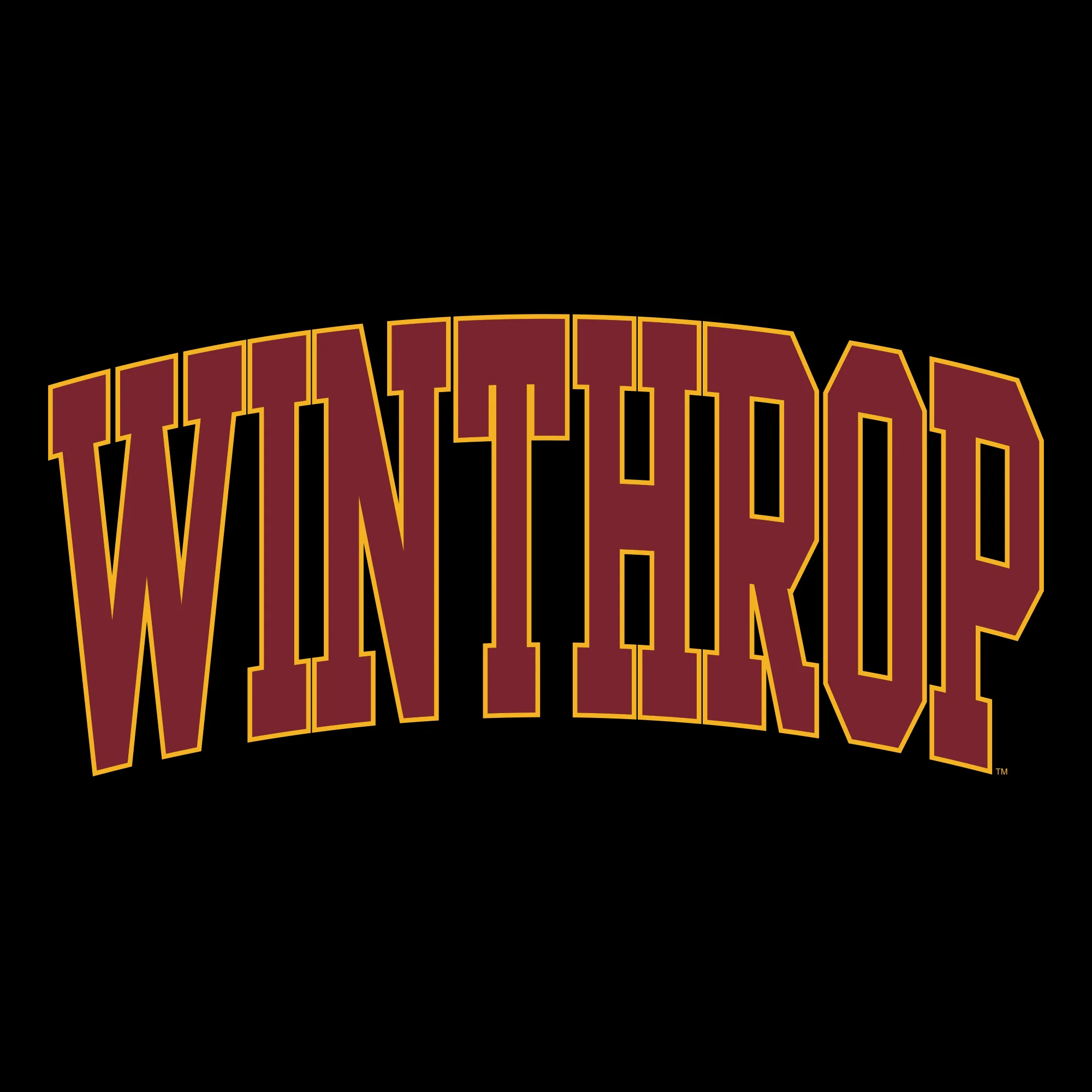 Winthrop Eagles Mega Arch T-Shirt - Black - Image 2
