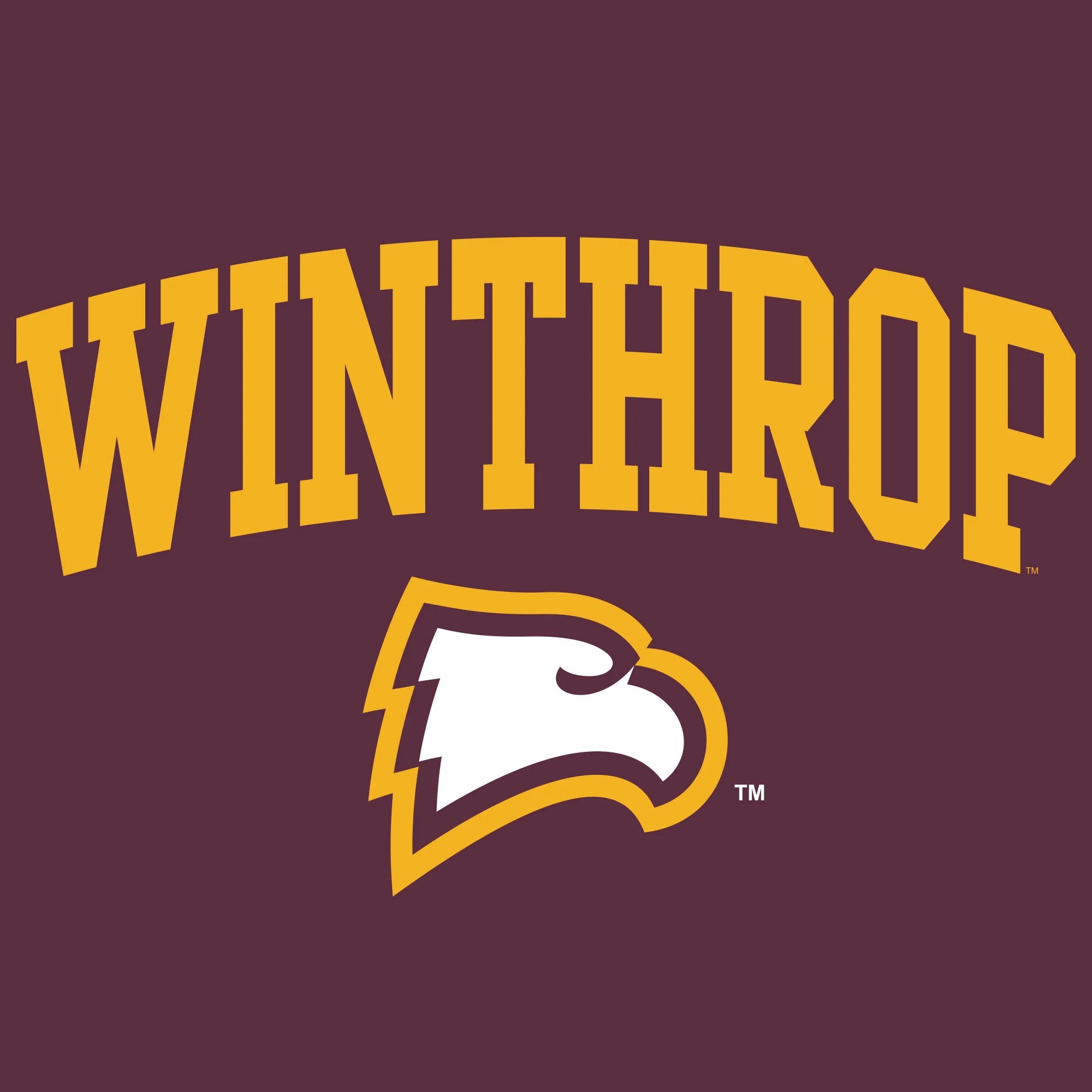 Winthrop University Eagles Arch Logo Youth Short Sleeve T Shirt - Maroon - Image 2