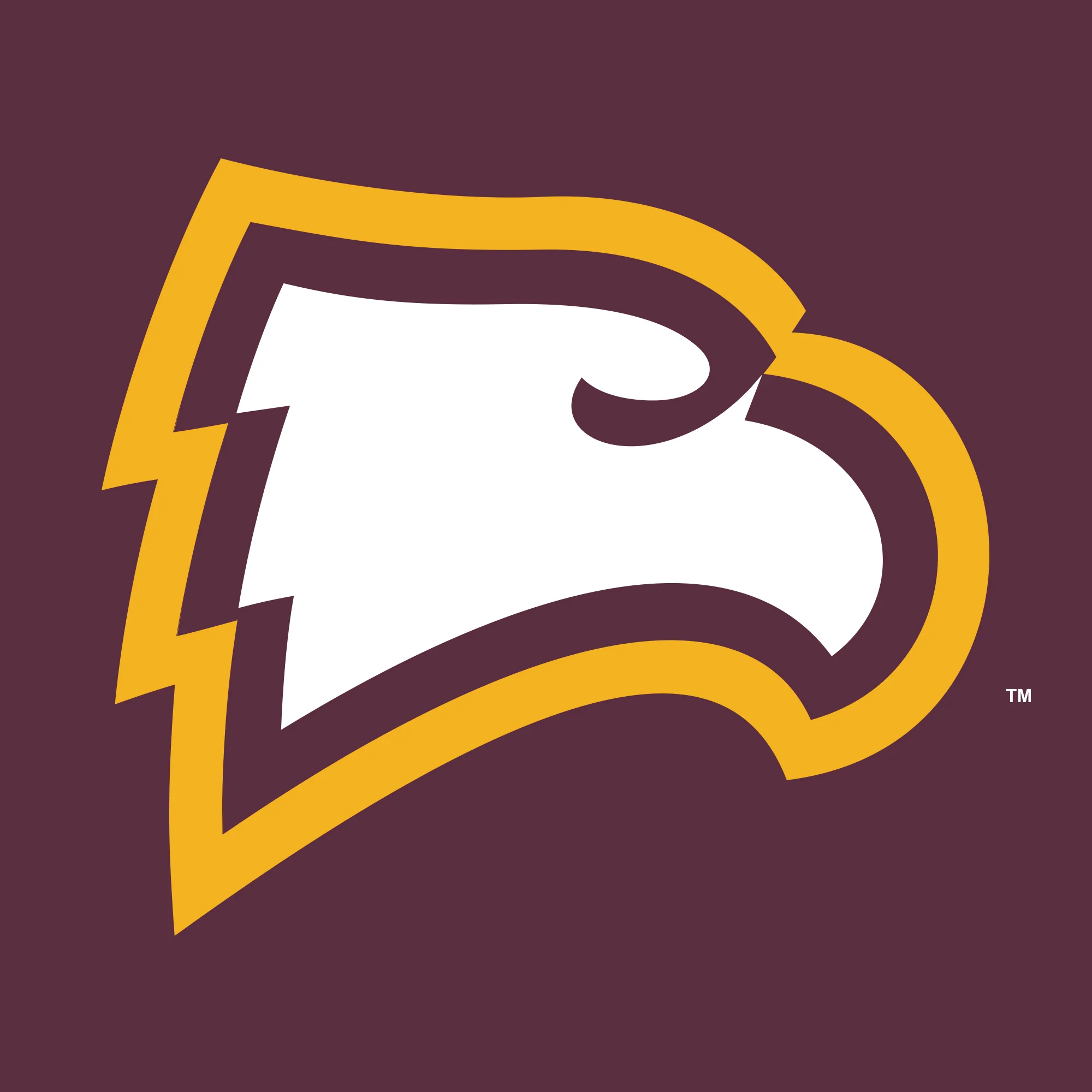 Winthrop University Eagles Primary Logo Youth Short Sleeve T Shirt - Maroon - Image 2
