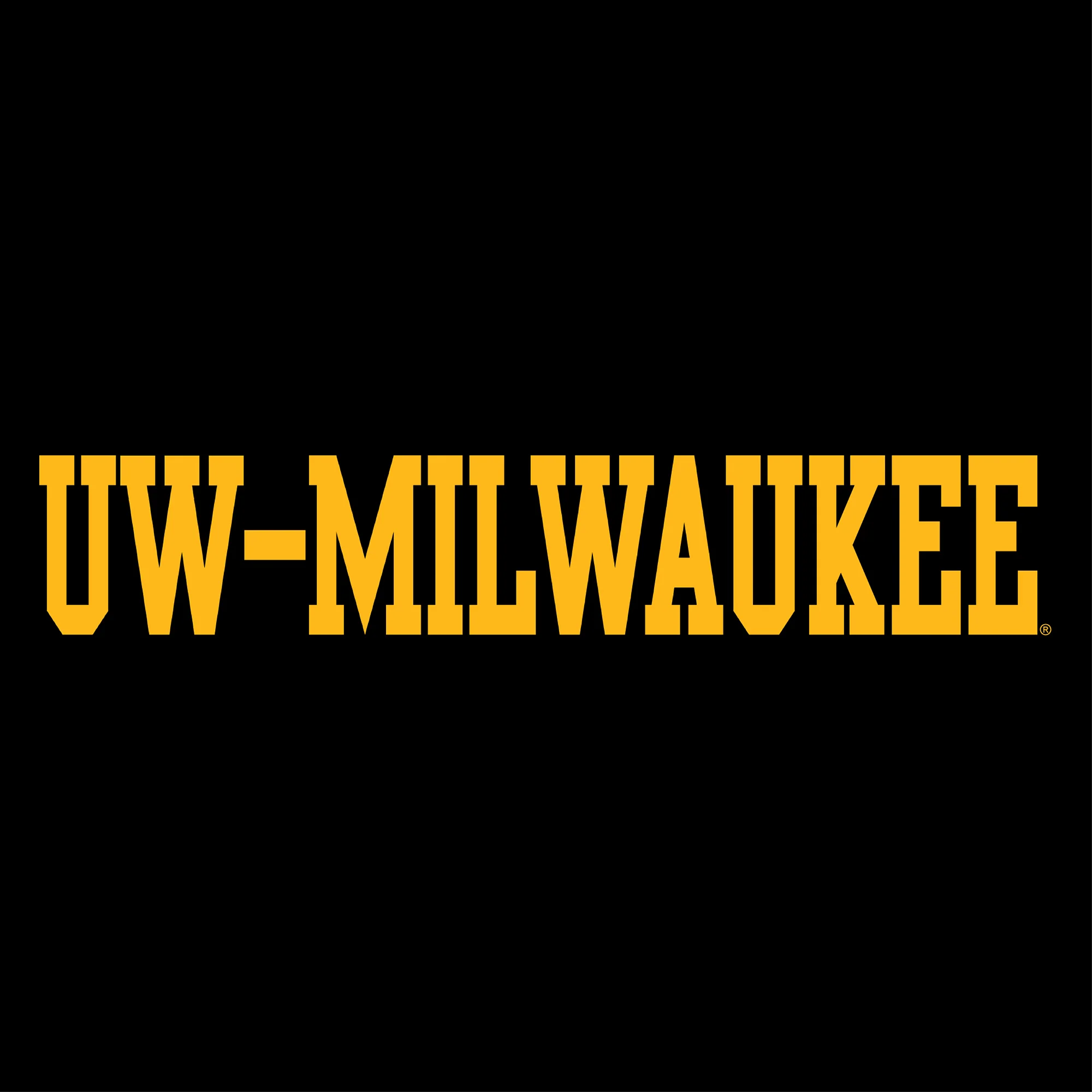 Wisconsin-Milwaukee Panthers Basic Block Hoodie - Black - Image 2