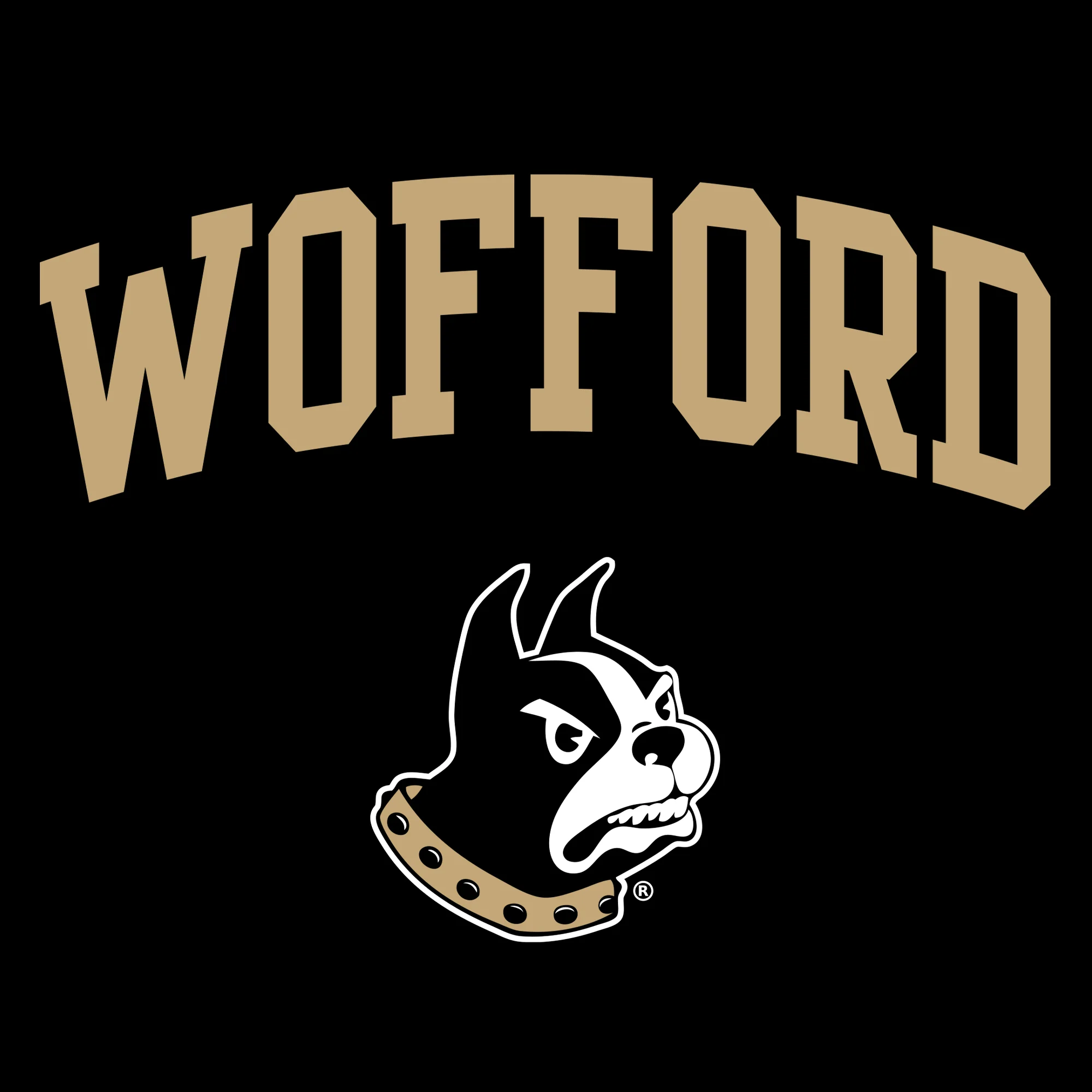 Wofford College Terriers Arch Logo Hoodie - Black - Image 2