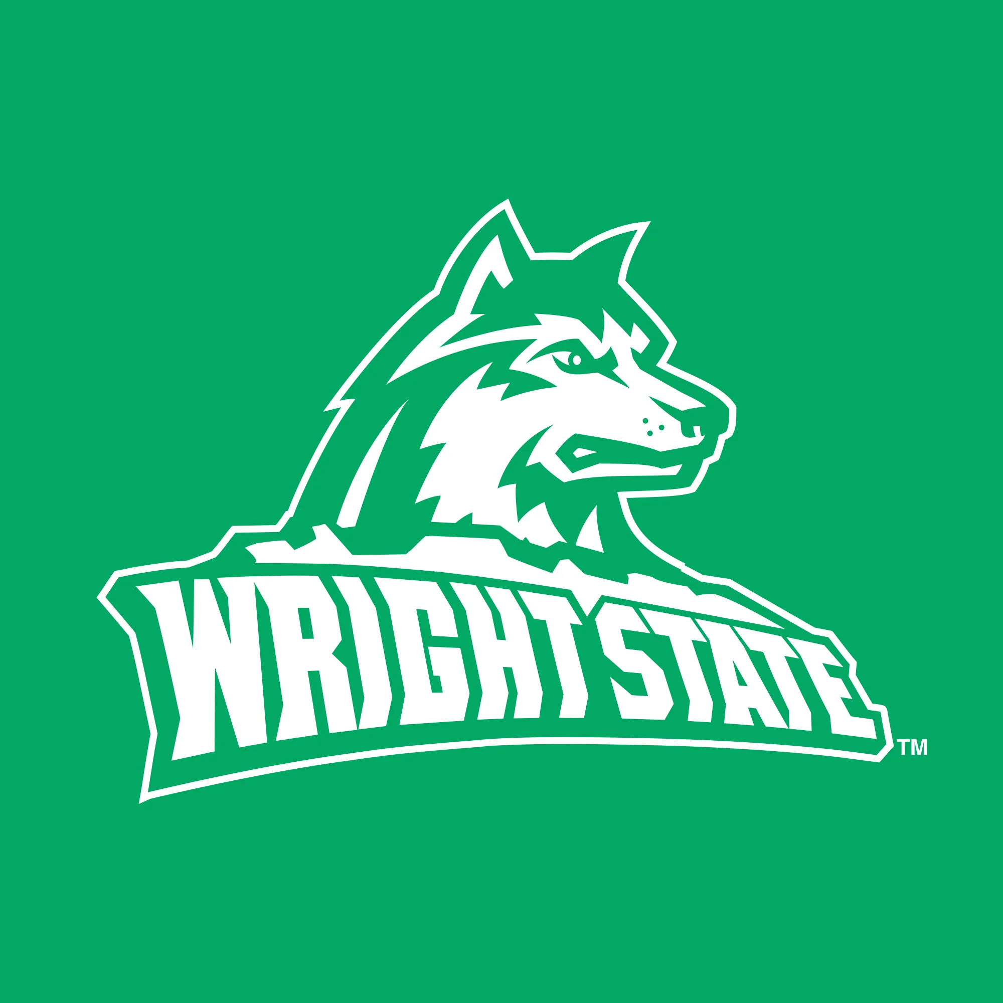 Wright State University Raiders Primary Logo Womens Short Sleeve T Shirt - Irish Green - Image 2