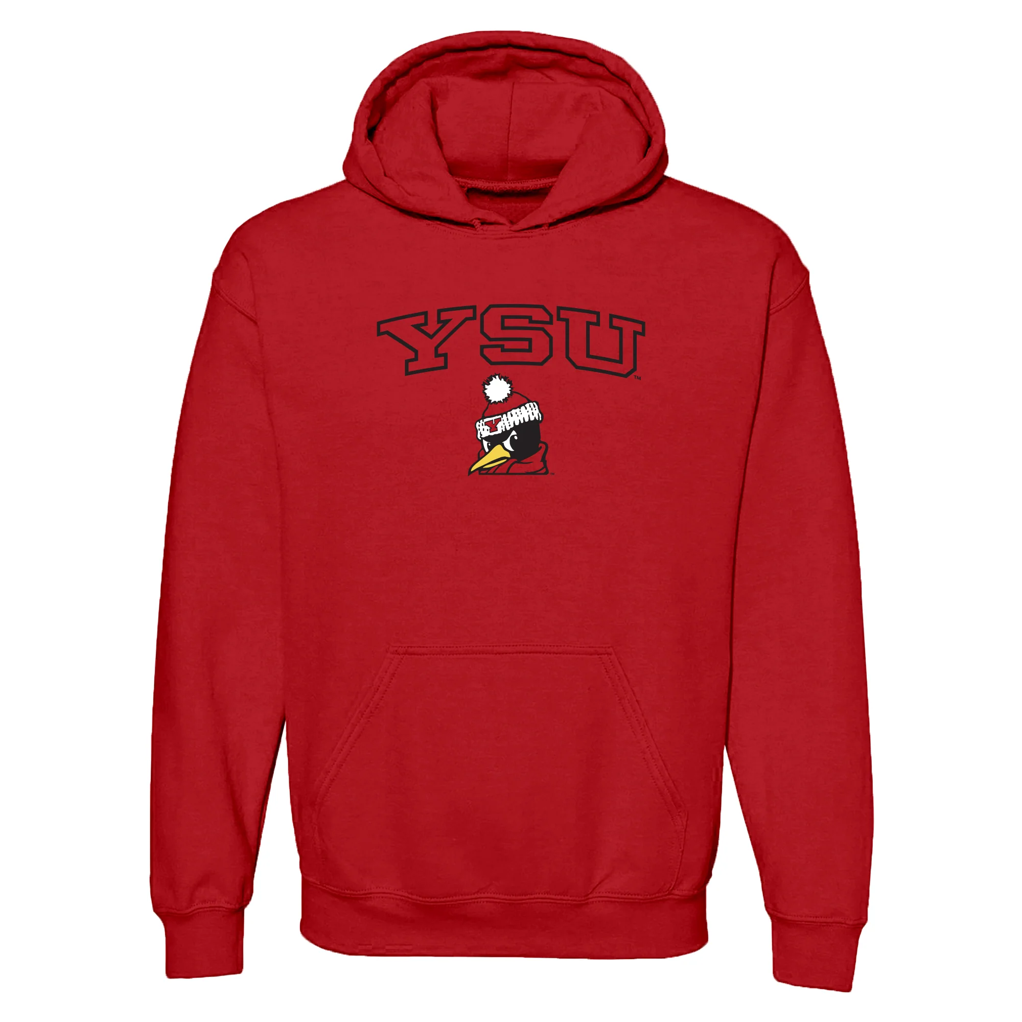 Youngstown Penguins Arch Logo Hoodie - Image 2