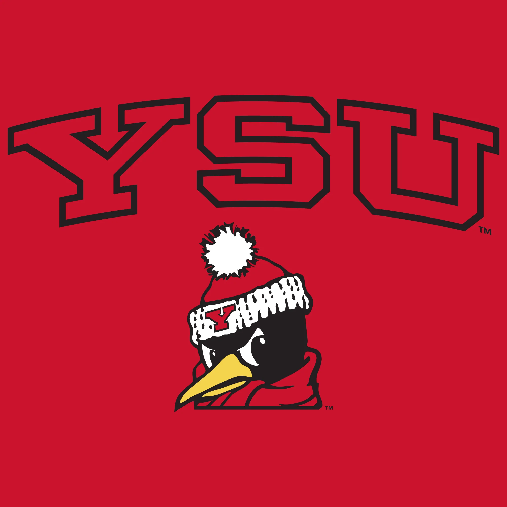 Youngstown Penguins Arch Logo Tank Top - Red - Image 2