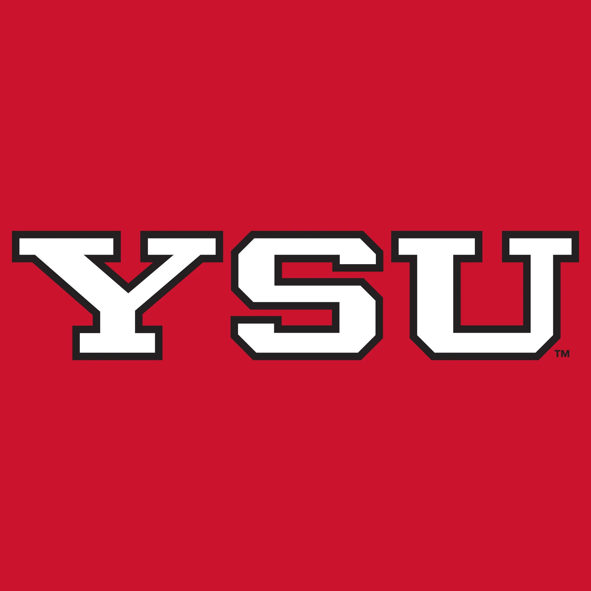 Youngstown Penguins Basic Block Youth T-Shirt - Red - Image 2
