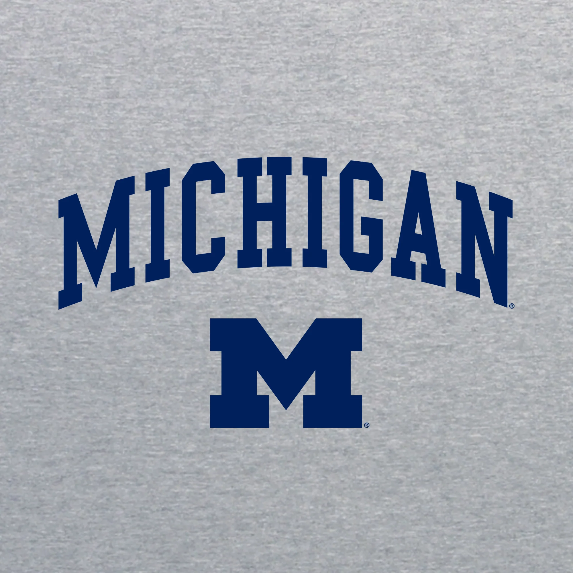 Michigan Wolverines Arch Logo Youth T Shirt - Sport Grey - Image 2