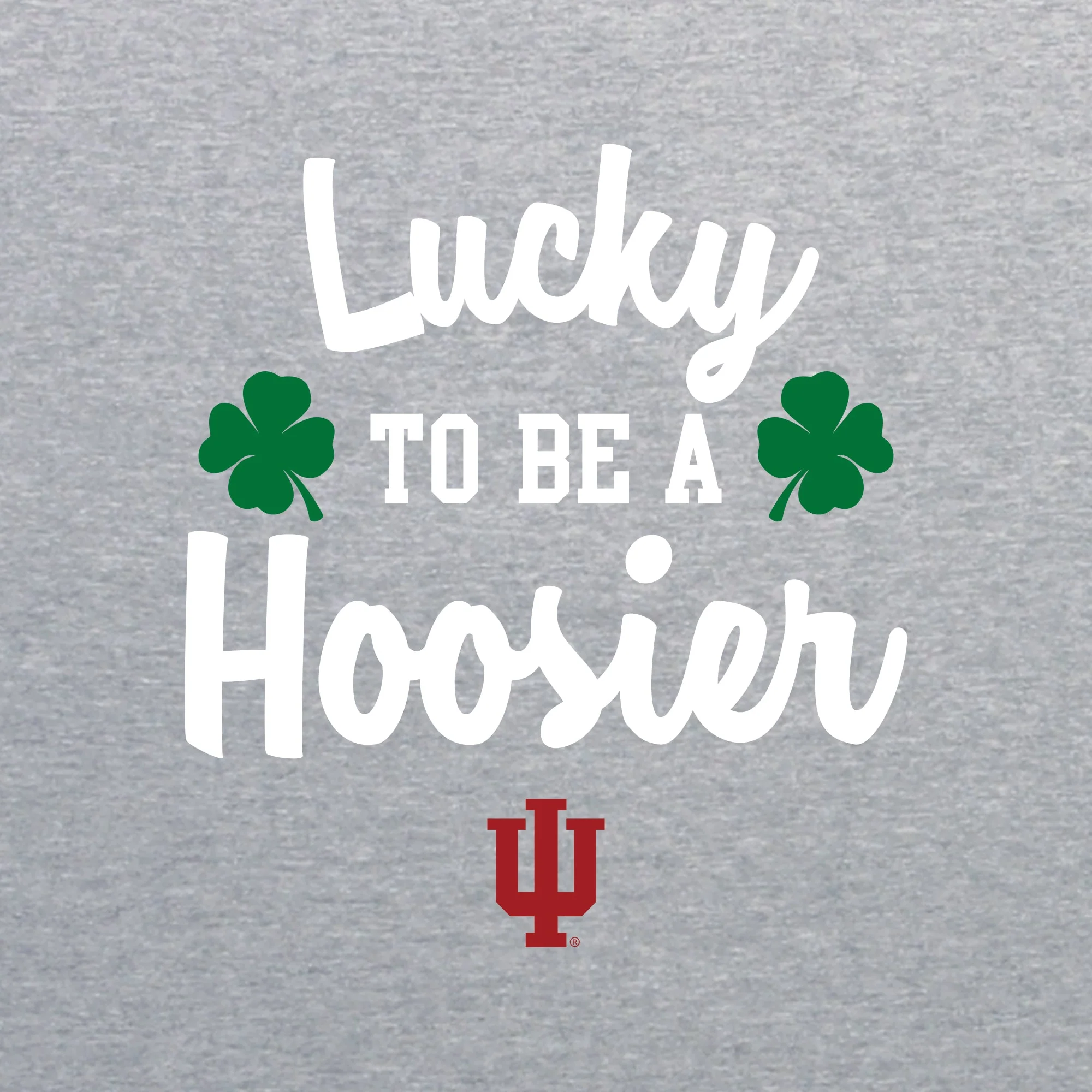 Indiana Hoosiers Lucky to be a Hoosier Youth T Shirt - Sport Grey - Image 2